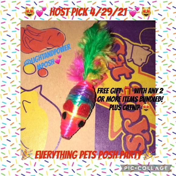 Rainbow ๐ feather tailed mouse ๐ cat toy and catnip bonus - Picture 7 of 13